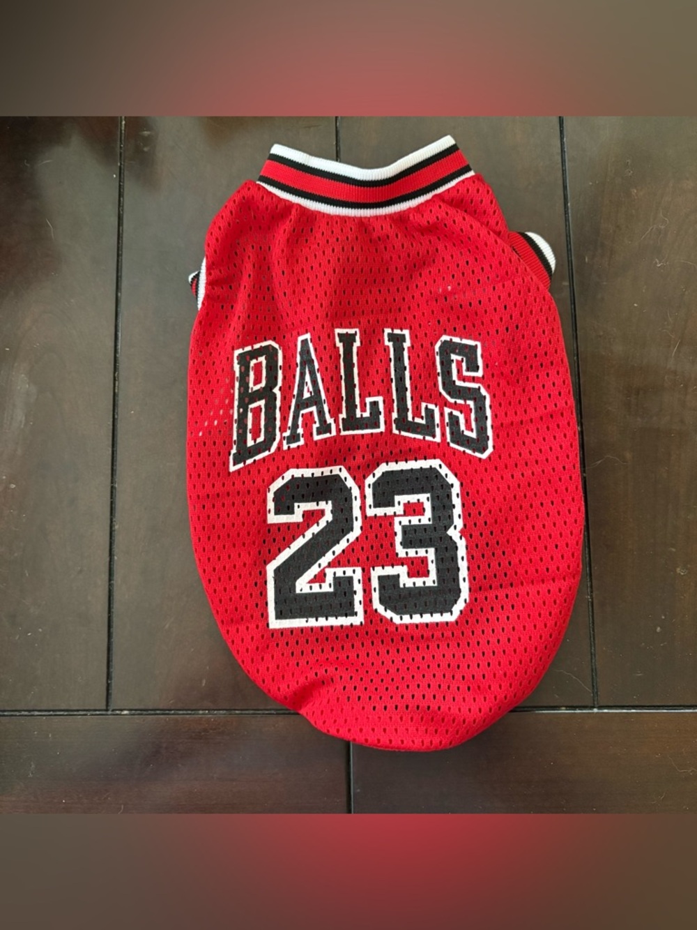 Red Mesh 'BALLS 23' Pet Dog basketball Jersey size xs